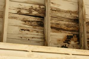 Rotting boards in the ceiling in need of repair